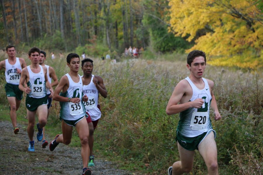 Cross Country Season in Review: A Year of Succisa Virescit