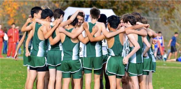 The Green Wave Harriers