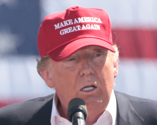 A Review of Donald Trump's Campaign Promises One Year In: